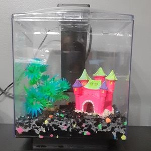Fully equipped Glo betta tank!
